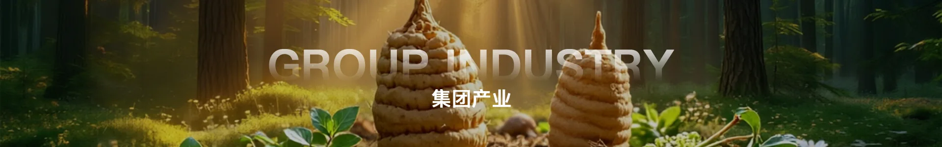 菌棒生产工厂产业