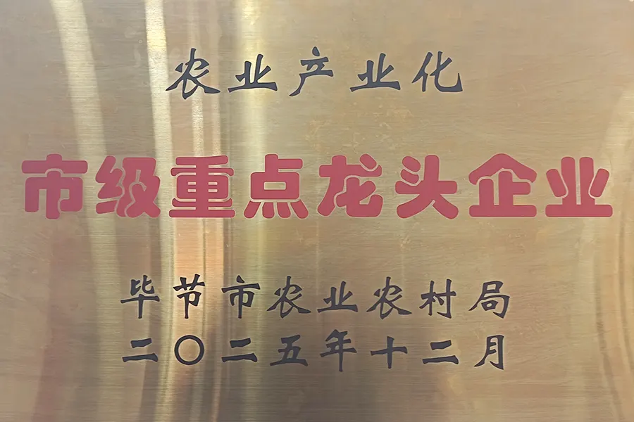 市级重点龙头企业
